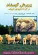 پرورش گوسفند در گوسفندداری های کوچک