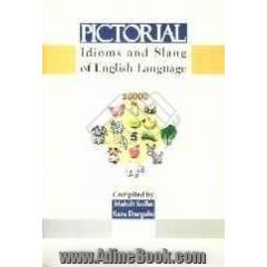 Pictorial idioms and slang of English language: teaching and learning idioms and slang ...