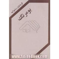 بومرنگ (فیلم نامه)