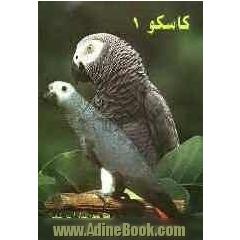کاسکو 1: طوطی طوسی آفریقایی