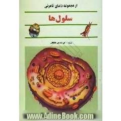 سلول ها