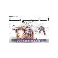 آناتومی دست