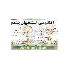 آناتومی استخوان بندی