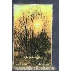 مرغان شاخسار طرب