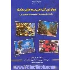 بیولوژی گل دهی میوه های معتدله، دانه دارها،  هسته دارها،  خشک میوه ها و میوه های ریز
