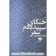 خنکای سپیده دم سفر