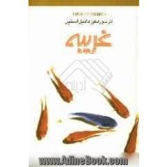 غریبه