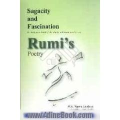 Sagacity and fascination: an analytical study of the motifs of reason and love in rumi's poetry