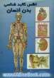 اطلس کالبدشناسی بدن انسان