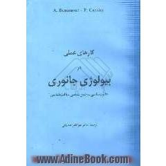 کارهای عملی در بیولوژی جانوری: جانورشناسی - جنین شناسی - بافت شناسی