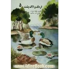 اردک و لاک پشت