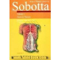 Atlas of human anatomy،  sobotta،  trunk, viscera