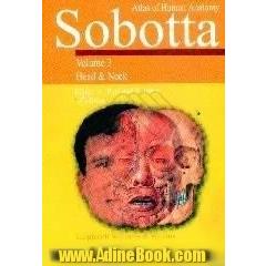 Atlas of human anatomy،  sobotta،  head & neck