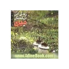 زندگی امن در کنار مین: ویژه ی مربیان آموزش خطرات مین