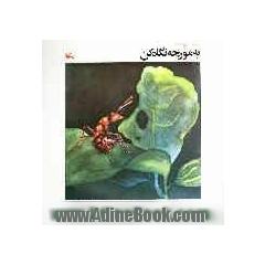 به مورچه نگاه کن