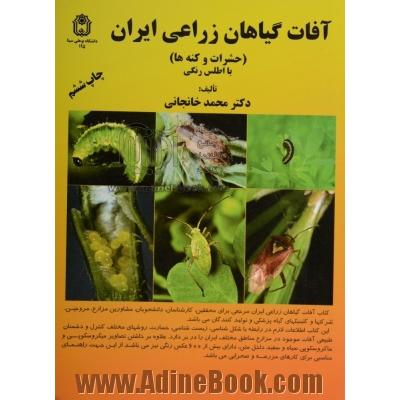 آفات گیاهان زراعی ایران (حشرات و کنه ها)