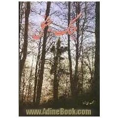 جنگ جنگل: مجموعه ای از مقاله، گزارش، عکس، یادداشت و نقد کتاب و فیلم
