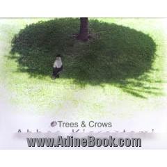 TREES AND CROWS : درختان و کلاغ ها