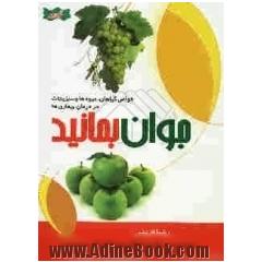 جوان بمانید: خواص گیاهان، میوه ها و سبریجات در درمان بیماری ها
