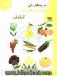 مجموعه کتاب های پیش از دبستان: آموزش مفاهیم علوم واحد کار: کودک در طبیعت "گیاهان"