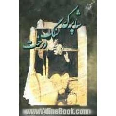 شاپرک سنگ درخت: مجموعه شعر