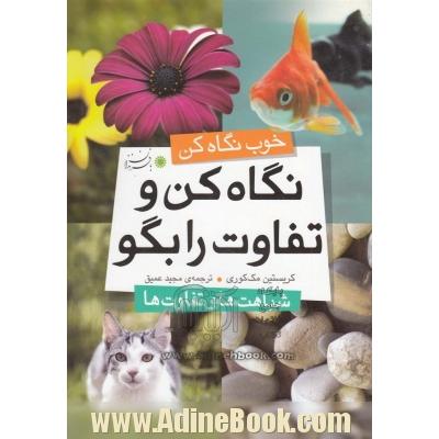 نگاه کن و تفاوت را بگو: شباهت ها و تفاوت ها