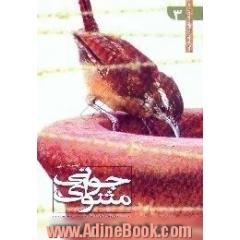 مثنوی جوانی،  یادداشت های روزانه ی شهید مهدی مقدس
