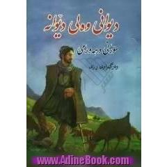دیوانی وه لی دیوانه