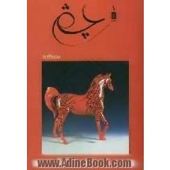 Eye: clebration of arabian horse