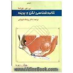 کالبدشناسی لگن و پرینه