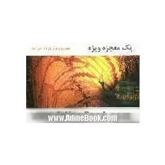 یک معجزه ویژه