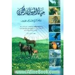 حیاه الحیوان الکبری،  عجایب،  ویله کتاب عجائب المخلوقات و الحیوانات و غرائب الموجودات