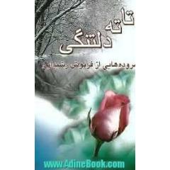 تا ته دلتنگی