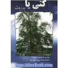 کتی یا دیار بریاد مانده: تک نگاری ایزدشهر مازندران