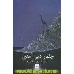 چقدر دیر آمدی