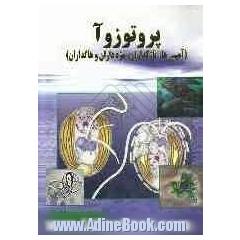 پروتوزوآ