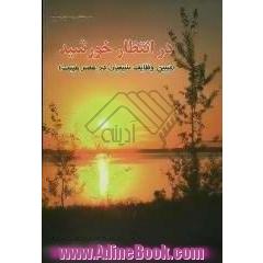 در انتظار خورشید (تبیین وظایف شیعه در عصر غیبت)
