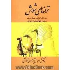 ترانه های شواش: متن، ترجمه و آوانوشت اشعار گروه موسیقی شواش