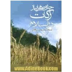 جلوه هایی از زکات در اسلام