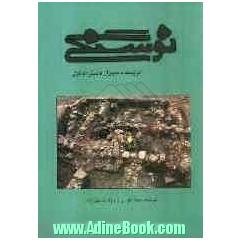 نوسنگی