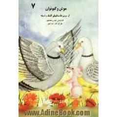 موش و کبوتران