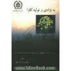 به نژادی و تولید کلزا