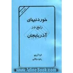 خوردنیهای رایج در آذربایجان