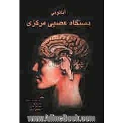 آناتومی دستگاه عصبی مرکزی