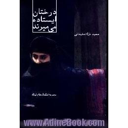 درختان ایستاده می میرند