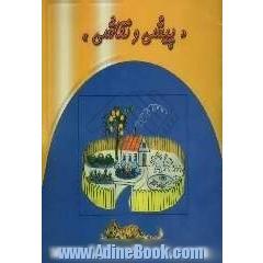 پیشی و نقاشی