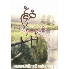 دیوان فروغ فرخزاد: اسیر، دیوار، عصیان، تولدی دیگر، ایمان بیاوریم به آغاز فصل سرد
