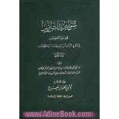 شواهد التنزیل لقواعد التفضیل فی الآیات النازله فی اهل بیت (ص)