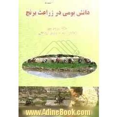 دانش بومی در زراعت برنج