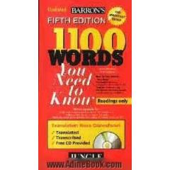 A mini 1100 words you need to know